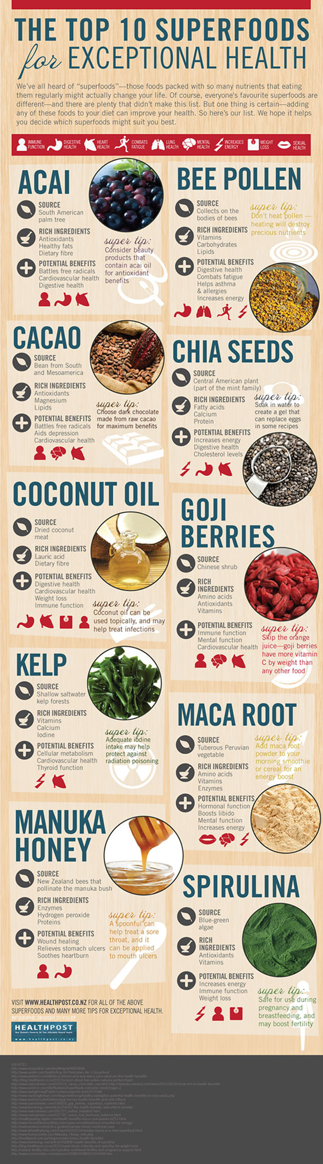The Top 10 Superfoods for Exceptional Health Infographic