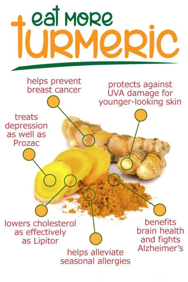Turmeric Benefits Infographic