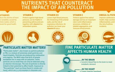 Vitamin B Supplements Reduce Harm Of Air Pollution