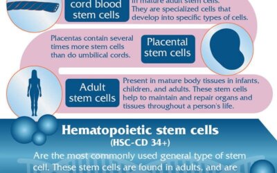 What Are Stem Cells Infographic