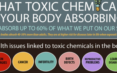 What Toxic Chemicals Is Your Body Absorbing Infographic F