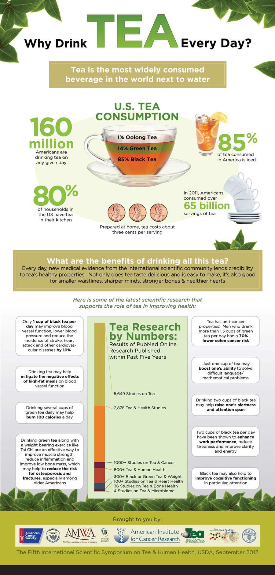 Why Drink Tea Every Day Infographic
