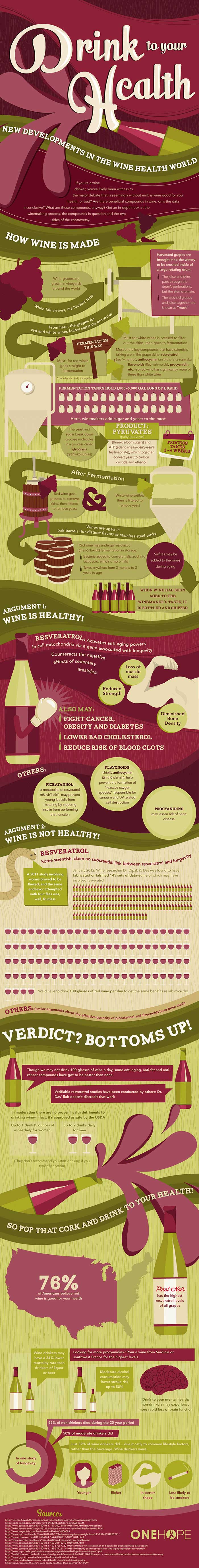 Wine Infographic