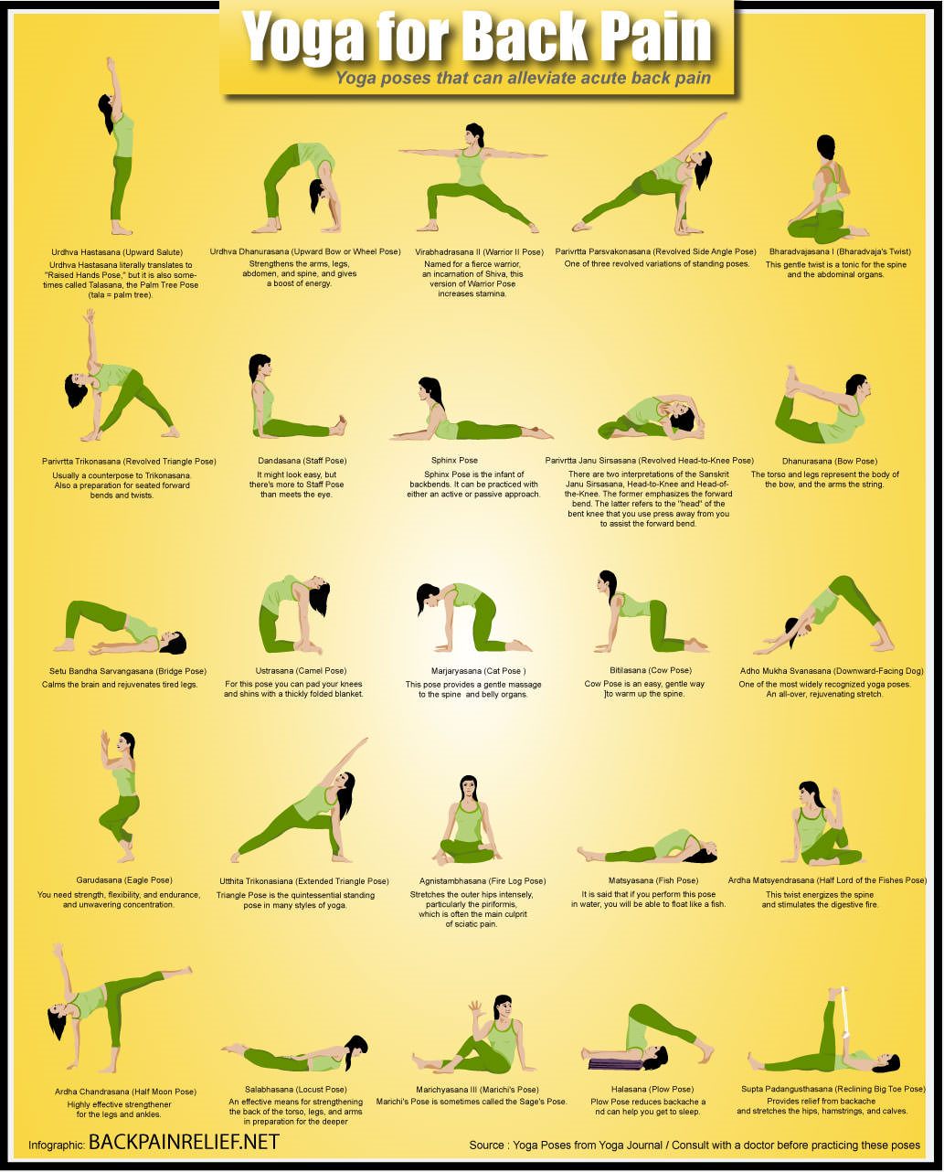 Yoga For Back Pain Infographic