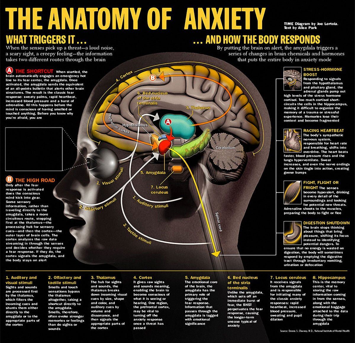 10 Of The Most Common Symptoms Of Anxiety