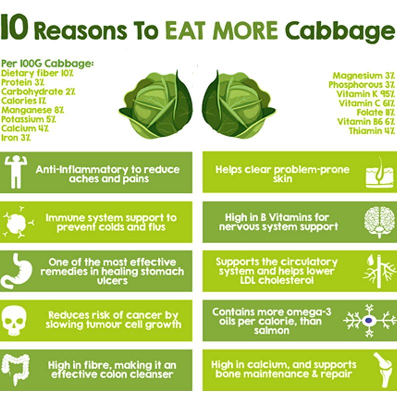 Health Benefits Of Cabbage 