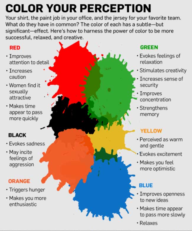 colors infographic