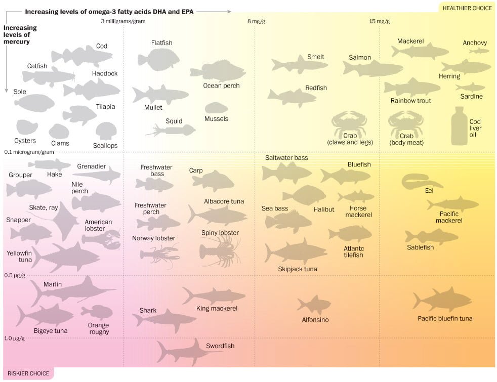 Mercury in Fish Infographic