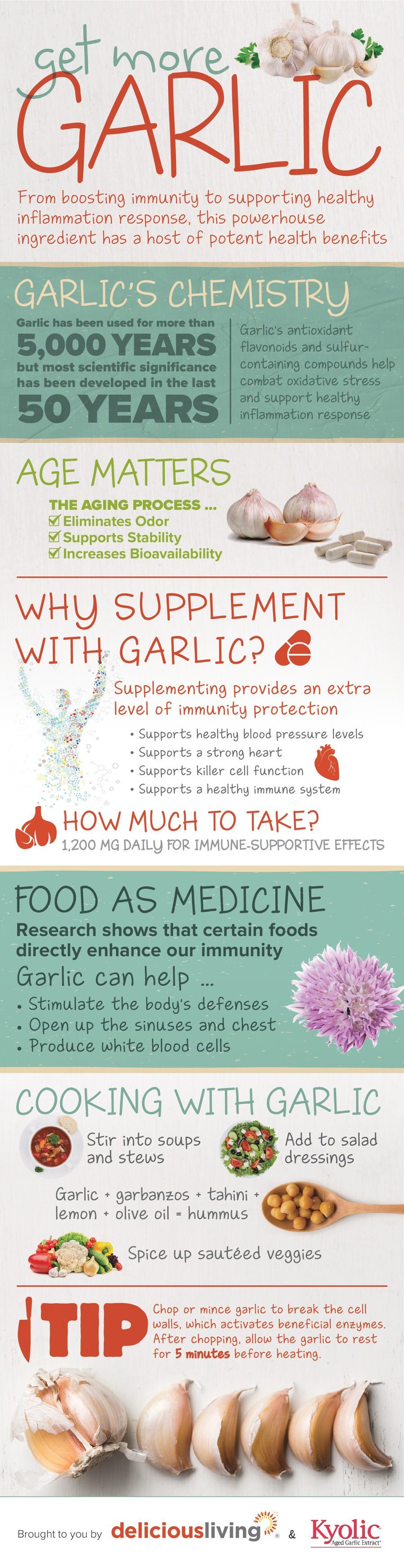 Garlic Infographic