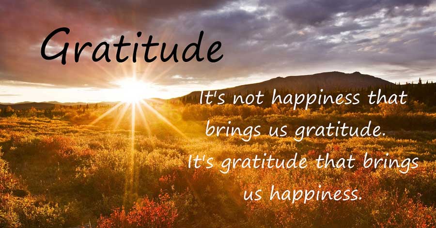 gratitude-happiness