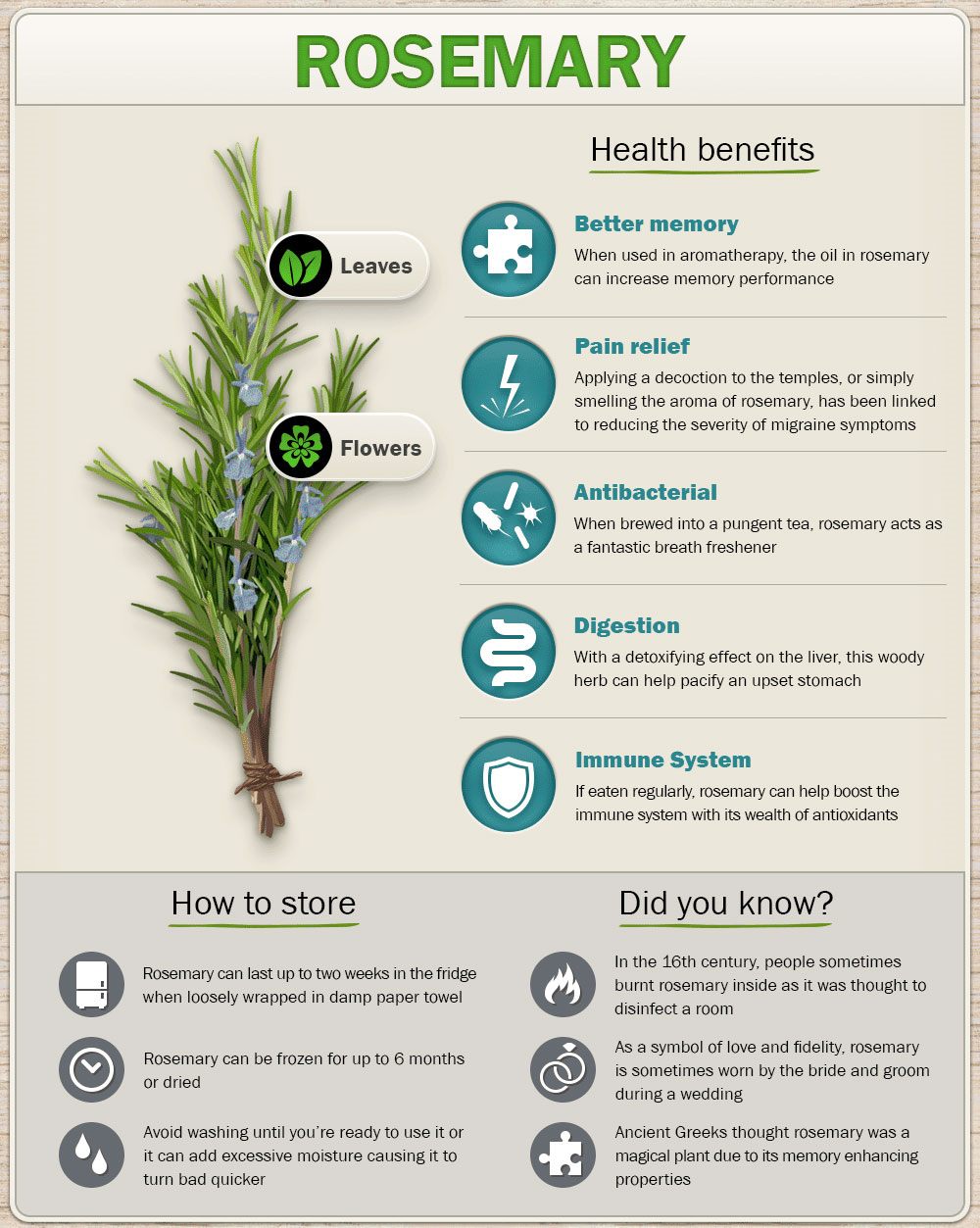 Health Benefits Of Rosemary