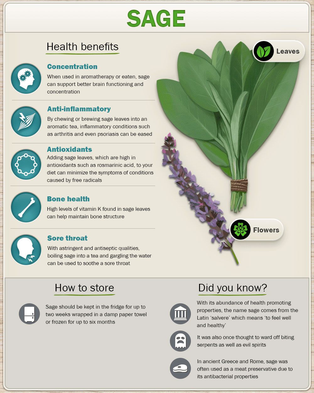 Health Benefits Of Sage
