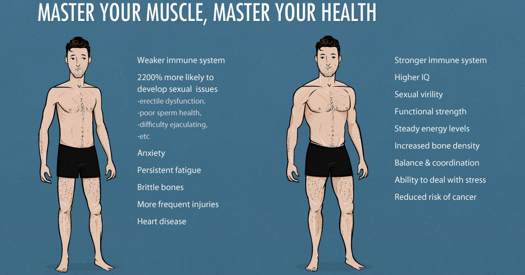 master your muscle