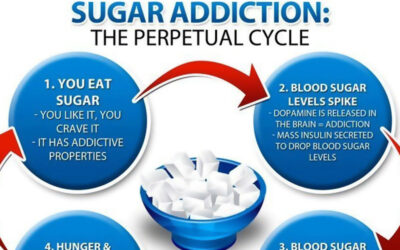Sugar Addiction Cycle F